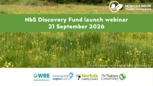 NbS Discovery Fund launch webinar