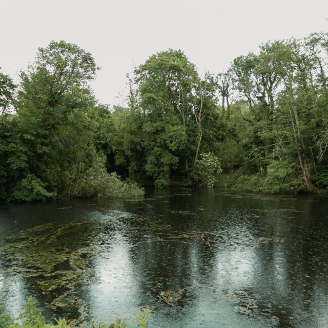 Whitlingham Country Park WildkinStudios 63 